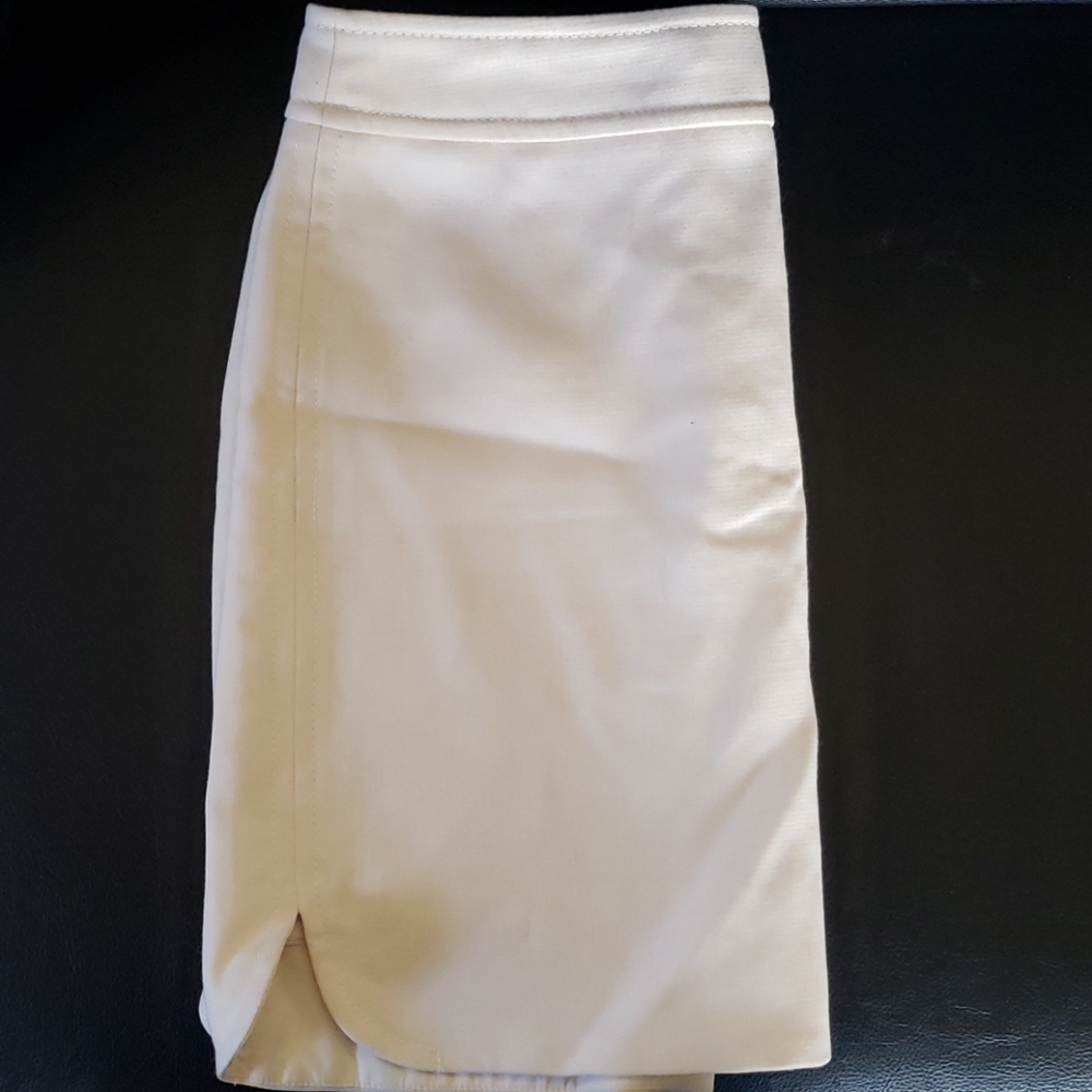 Pencil skirt